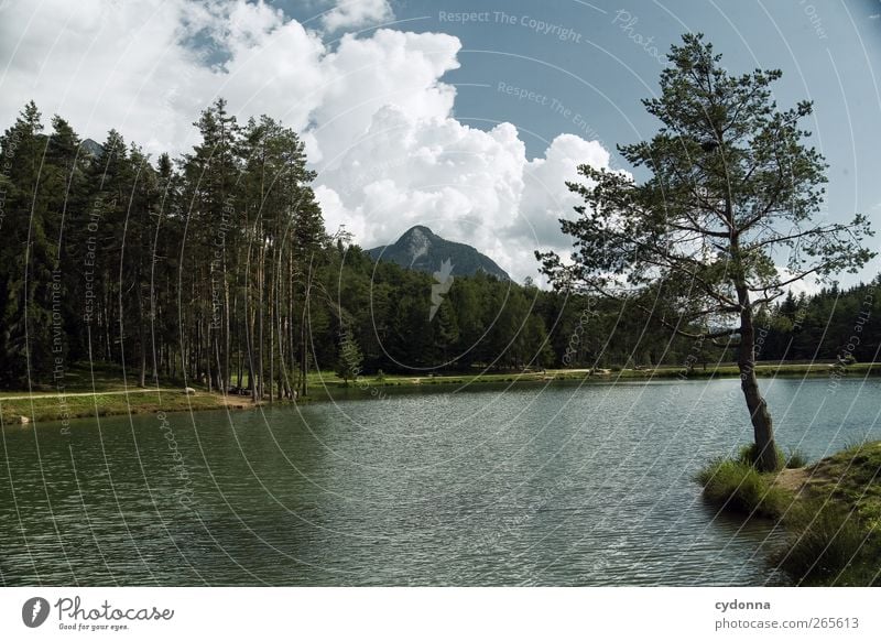 Waldsee Gesundheit harmonisch Erholung ruhig Ferien & Urlaub & Reisen Tourismus Ausflug Abenteuer Ferne Freiheit Sommerurlaub wandern Umwelt Natur Landschaft