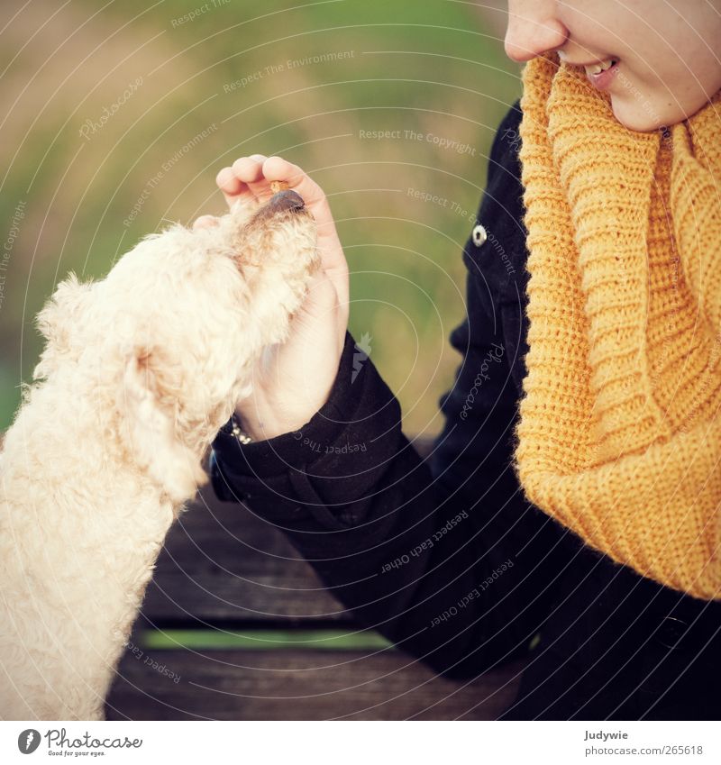 Zuneigung Freude harmonisch Wohlgefühl Zufriedenheit Mensch feminin Mädchen Junge Frau Jugendliche 13-18 Jahre Kind Umwelt Natur Herbst Mode Bekleidung Mantel