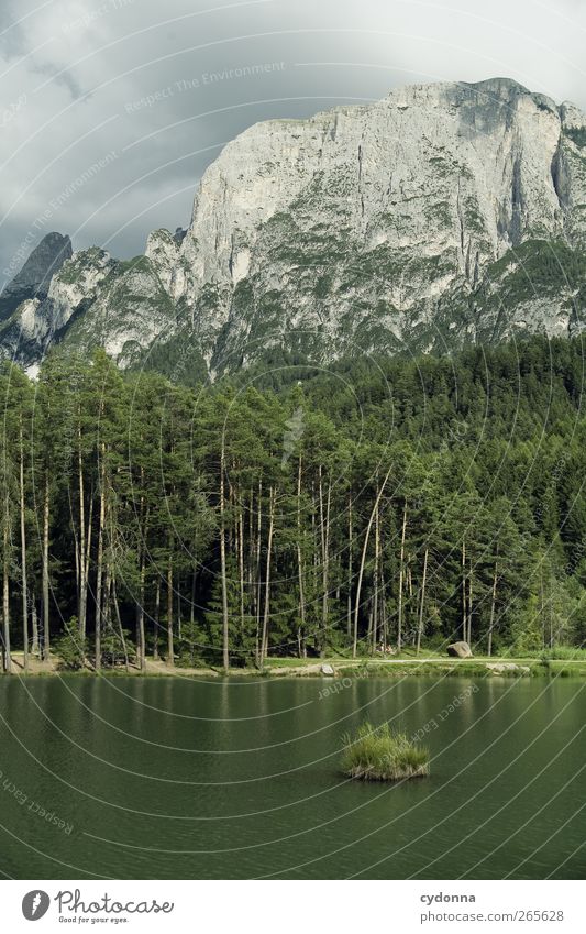 Grüne Insel harmonisch Wohlgefühl Erholung ruhig Ferien & Urlaub & Reisen Tourismus Ausflug Ferne Freiheit wandern Umwelt Natur Landschaft Wasser Sommer Wald