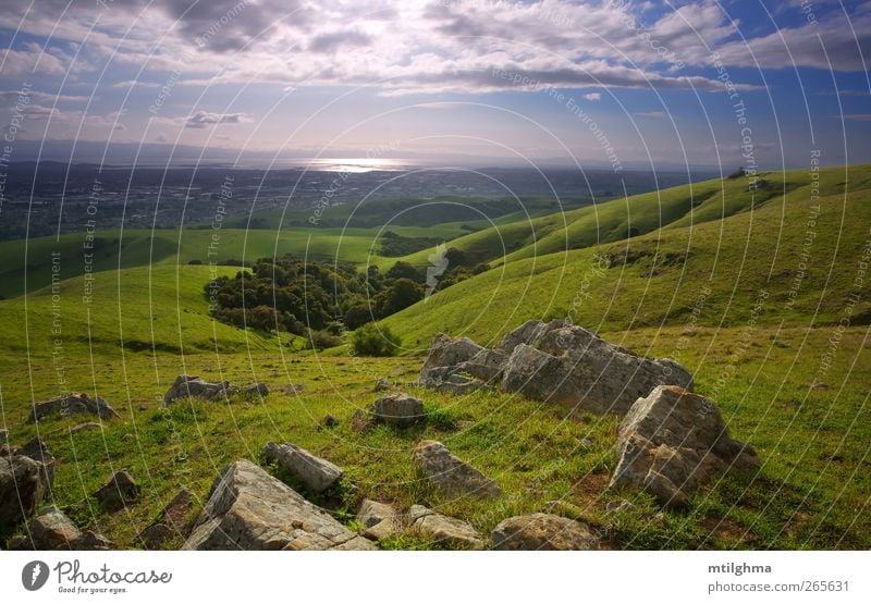 Bay Area von oben Feld Wiese Hügel Bergkuppe Halde grün Gras Grasland üppig (Wuchs) Frühling Sommer Felsen Farbe rollierend Kalifornien Buchtgebiet