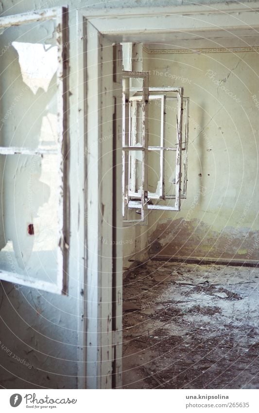 frischer wind Häusliches Leben Renovieren Raum Ruine Gebäude Mauer Wand Fenster Beton Holz Glas alt dreckig hell kaputt Stimmung Verfall Vergangenheit