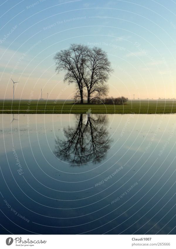 Harmonie Natur Landschaft Pflanze Wasser Himmel Horizont Frühling Baum Gras Feld See Überschwemmung überschwemmtes Feld Windkraftanlage Gefühle Glück