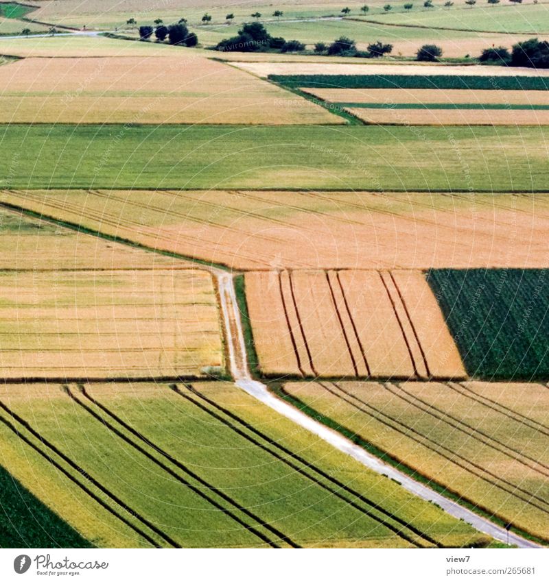 Landwirtschaft Arbeitsplatz Forstwirtschaft Umwelt Natur Landschaft Schönes Wetter Pflanze Nutzpflanze Wiese Feld Linie Streifen gebrauchen beobachten