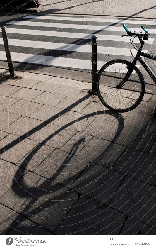 fahrrad und zebrastreifen Sonnenlicht Schönes Wetter Verkehr Verkehrsmittel Verkehrswege Straßenverkehr Fahrradfahren Wege & Pfade Zebrastreifen Poller rund