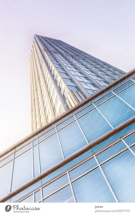 Höher Hochhaus Fassade Glas eckig fest hoch blau braun violett weiß modern Reichtum Häusliches Leben Glasfassade Farbfoto Gedeckte Farben Außenaufnahme Tag