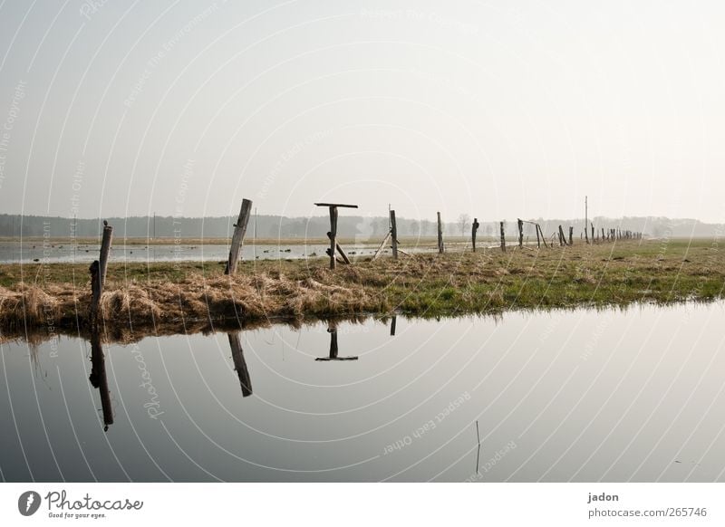 das frühjahrshochwasser Meditation Angeln Freiheit Schwimmbad Landschaft Wasser Himmel Gras Feld Moor Sumpf Unendlichkeit grün friedlich Natur Spiegelbild