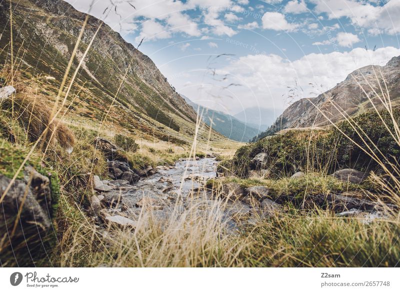 Timmelstal | Alpenüberquerung E5 Abenteuer wandern Natur Landschaft Himmel Sonne Herbst Schönes Wetter Wiese Berge u. Gebirge Bach frisch nachhaltig natürlich