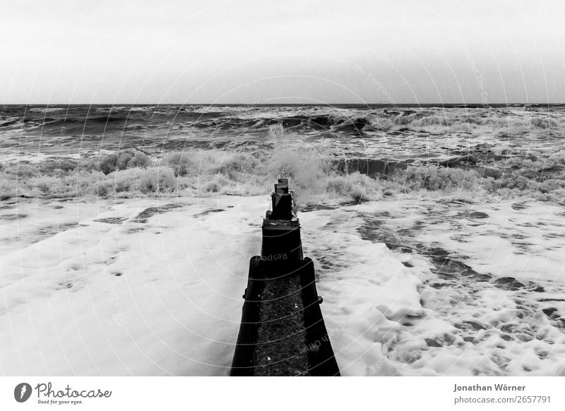 the sea Ferien & Urlaub & Reisen Ausflug Abenteuer Ferne Freiheit Strand Meer Wellen Natur Urelemente Wasser Horizont Wind Sturm Küste Nordsee Ostsee Aggression