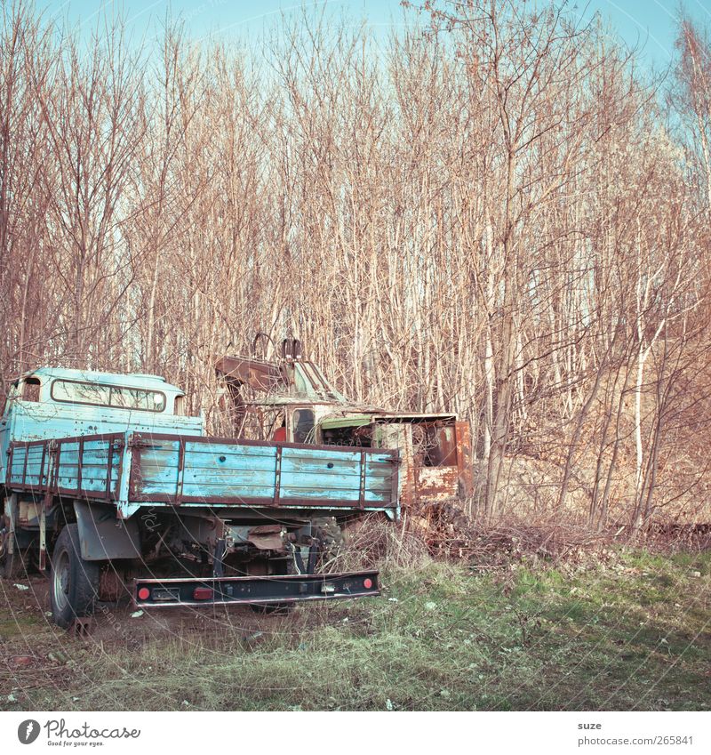 Schrottreif Industrie Umwelt Urelemente Himmel Sträucher Wiese Verkehr Fahrzeug Lastwagen Metall alt kaputt blau Ende Krise Nostalgie Vergänglichkeit