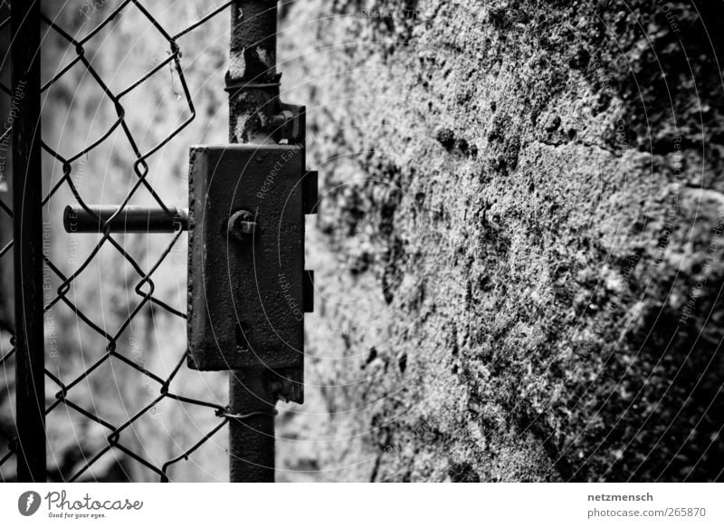 offene Tür Fabrik Ruine Tor Mauer Wand alt dreckig gruselig kalt kaputt trocken grau schwarz weiß Schutz Abenteuer Rost Gartentür Gartentor Schwarzweißfoto