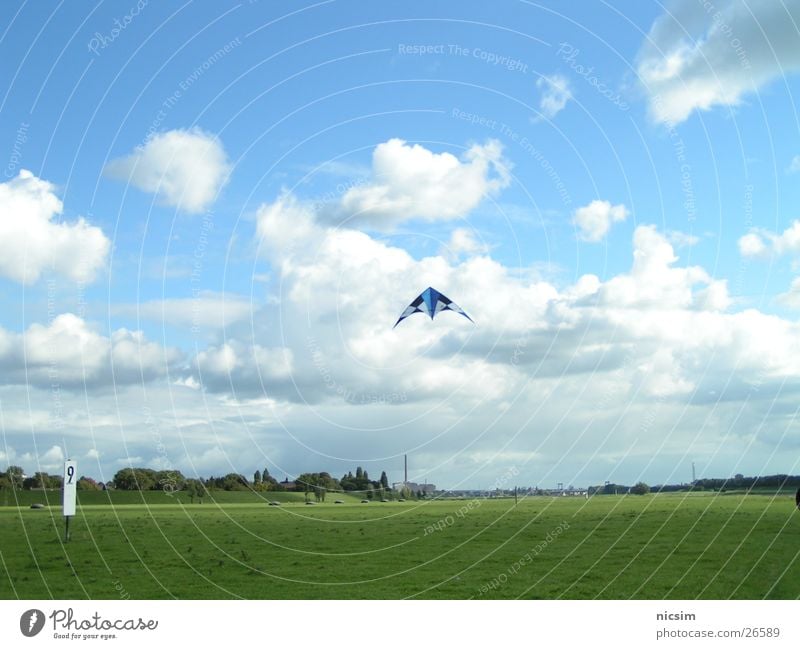 flieger Wiese Wolken Deich Baum Duisburg Drache Wetter Himmel Rhein fliegen blau