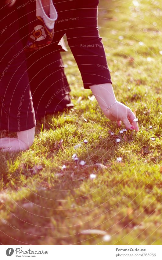 Looking for daisies II. feminin Mädchen Junge Frau Jugendliche Erwachsene Kopf Arme Hand 1 Mensch 18-30 Jahre Duft entdecken Erholung Glück Idylle Stimmung