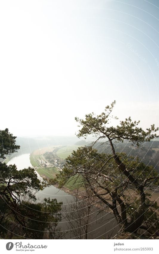 hinten der fluss. Tourismus Ferne Natur Landschaft Horizont Sonne Schönes Wetter Baum Hügel Schlucht Flussufer Elbe Ewigkeit Elbsandsteingebirge