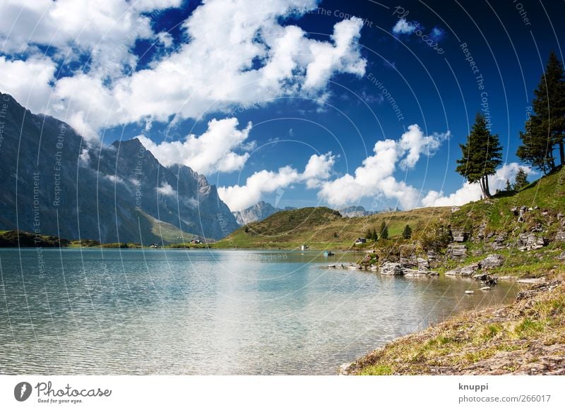 Gebirgssee Umwelt Natur Landschaft Luft Wasser Himmel Wolken Sonne Sonnenlicht Sommer Schönes Wetter Baum Gras Wildpflanze Felsen Alpen Berge u. Gebirge Gipfel