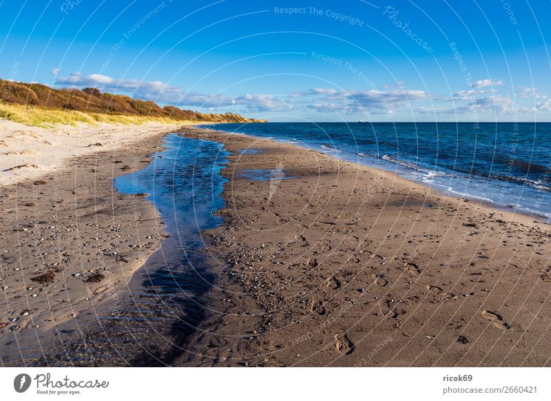 Ostseeküste bei Klintholm Havn in Dänemark Erholung Ferien & Urlaub & Reisen Tourismus Strand Meer Natur Landschaft Wasser Wolken Herbst Baum Küste Stein blau