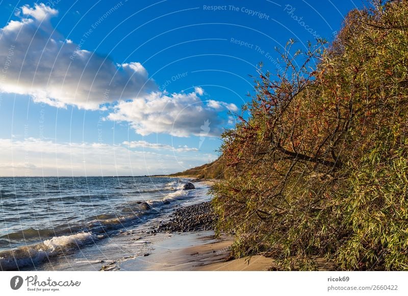 Ostseeküste bei Klintholm Havn in Dänemark Ferien & Urlaub & Reisen Tourismus Strand Meer Wellen Natur Landschaft Wasser Wolken Herbst Baum Küste Stein blau