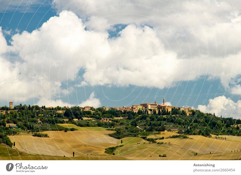 auf dem Hügel Umwelt Natur Landschaft Pflanze Himmel Wolken Horizont Sommer Wetter Schönes Wetter Baum Gras Sträucher Pienza Toskana Italien Kleinstadt Altstadt