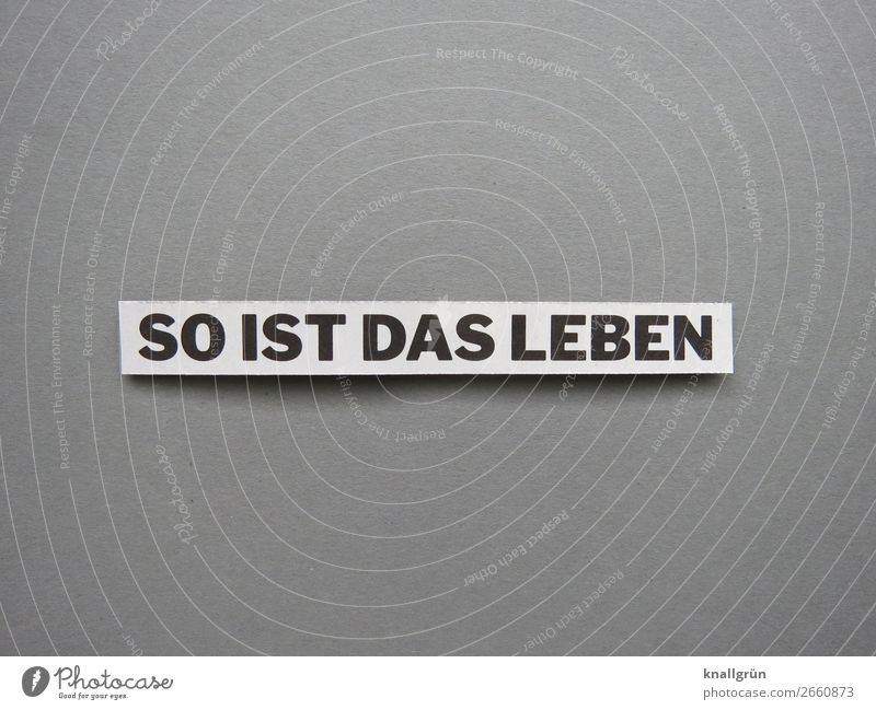 So ist das Leben Alltag Routine Buchstaben Wort Satz Text Typographie Schriftzeichen Sprache Lateinisches Alphabet Letter Schilder & Markierungen Kommunikation