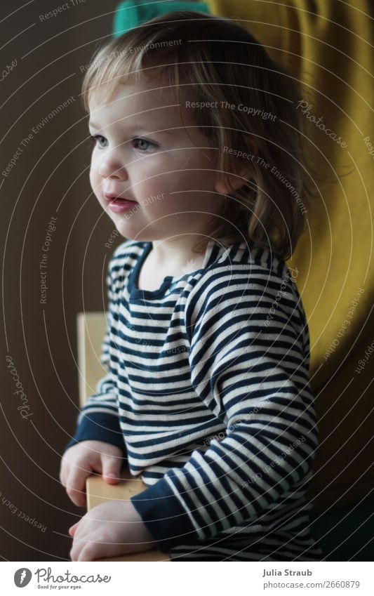 Mädchen mit gestreiften Shirt Stuhl feminin Kleinkind 1 Mensch 1-3 Jahre Pullover brünett langhaarig Locken Pony beobachten Blick niedlich blau grün Kindheit