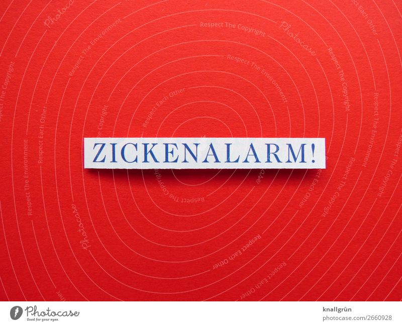 Zickenalarm! Gefühle Frau Mädchen Junge Frau Jugendliche Mensch Buchstaben Wort Satz Letter Typographie Schriftzeichen Text Sprache Lateinisches Alphabet