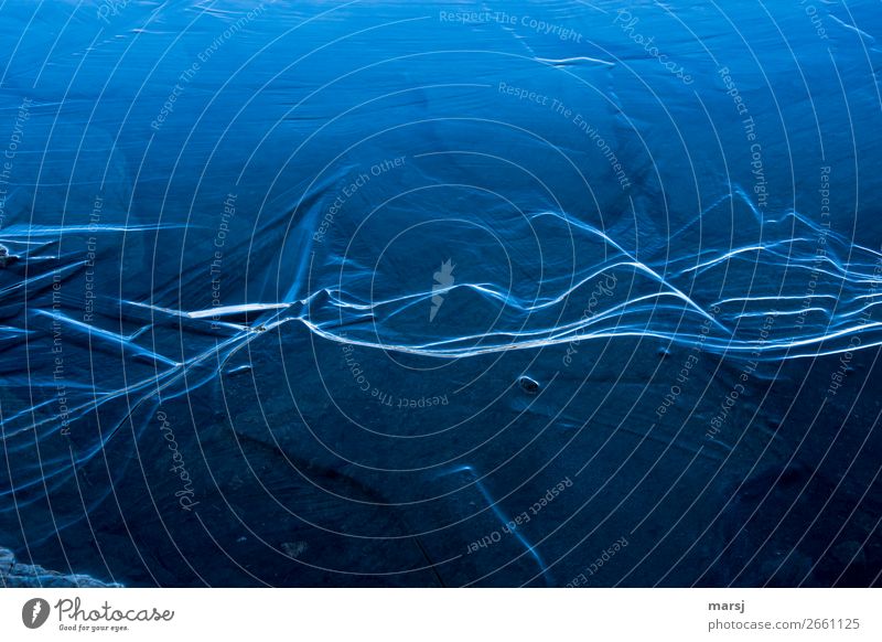 Eisstrukturen Erholung ruhig Winter Frost kalt trist Reinheit Traurigkeit Enttäuschung Einsamkeit Natur rein Ordnung gefroren Aggregatzustand unruhig Eisfläche