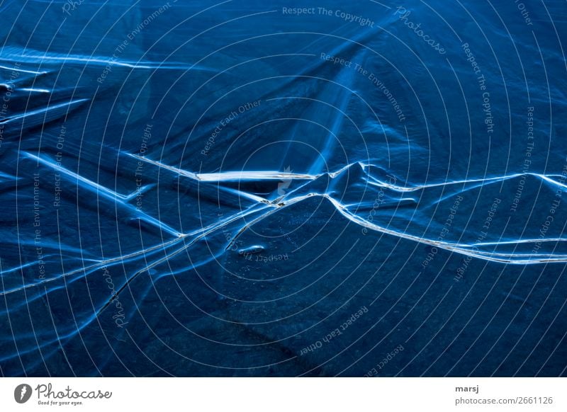 Eisige Aussichten Winter Frost Eisfläche unruhig gefroren außergewöhnlich dunkel authentisch kalt natürlich blau Traurigkeit Einsamkeit einzigartig Kreativität