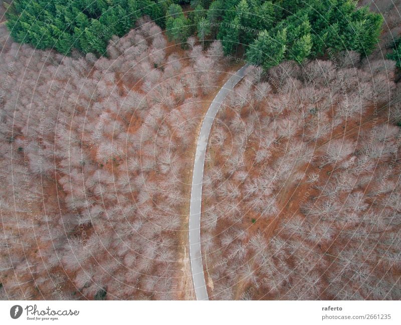 Luftaufnahme einer leeren Straße im Wald schön Ferien & Urlaub & Reisen Ausflug Abenteuer Natur Landschaft Wind Baum Fluggerät fahren außergewöhnlich natürlich