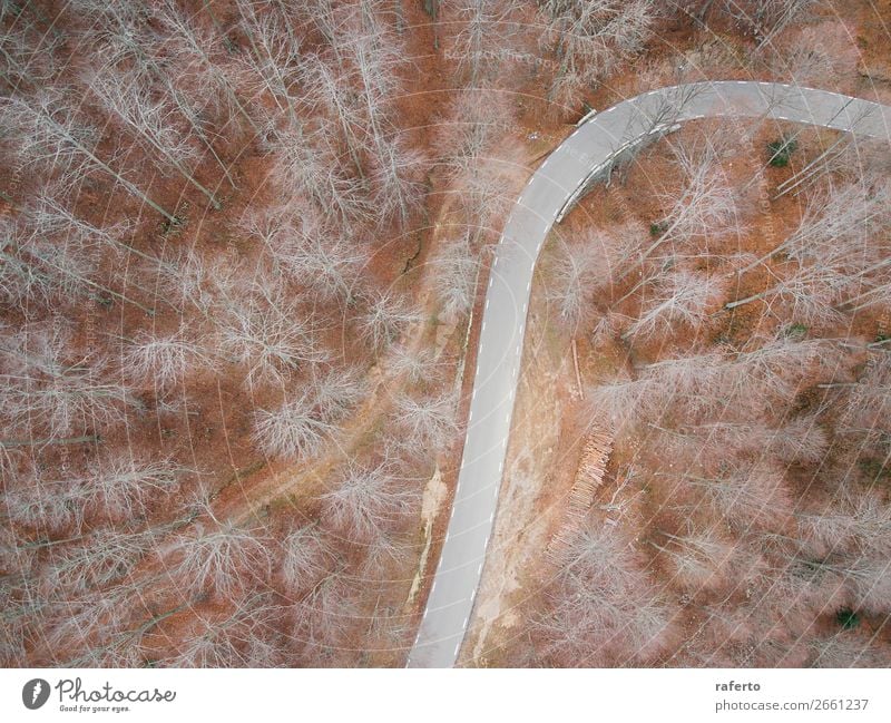 Luftaufnahme einer leeren Straße im Wald schön Ferien & Urlaub & Reisen Ausflug Abenteuer Natur Landschaft Wind Baum Fluggerät fahren außergewöhnlich natürlich