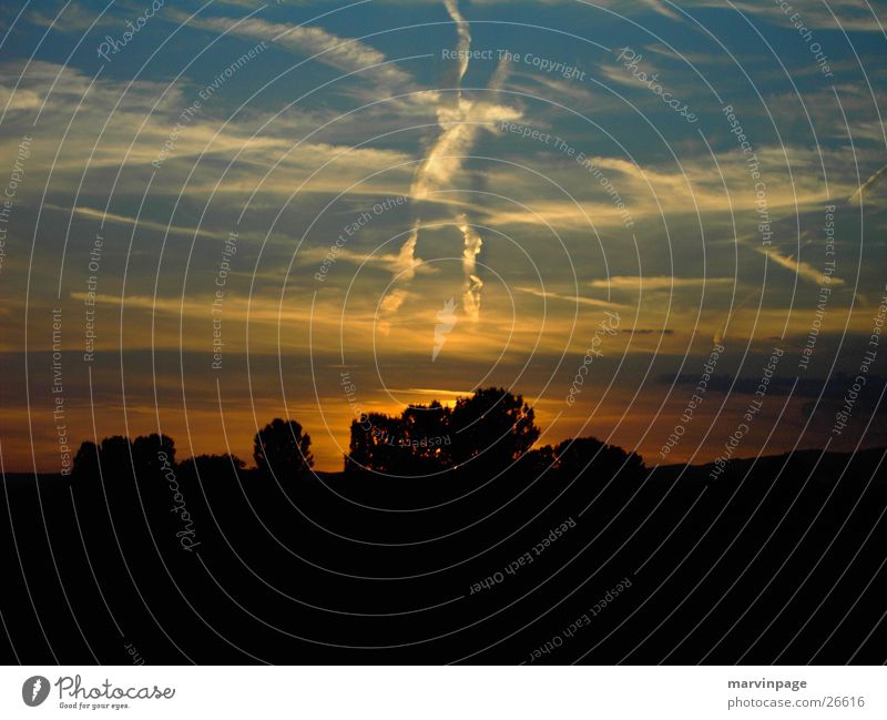 X Himmel Sonnenuntergang Baum Warmes Licht Ebene