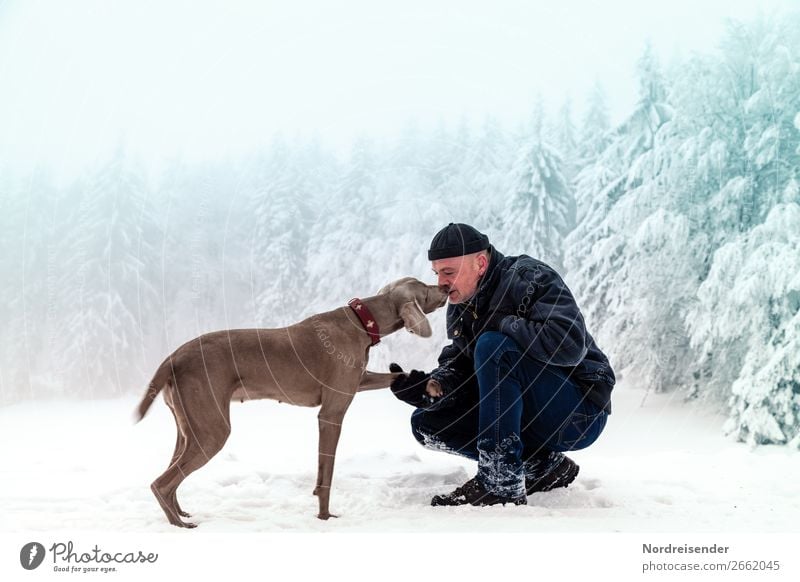 Unterwegs im Winterwald Ausflug Freiheit Schnee Winterurlaub wandern Weihnachten & Advent Silvester u. Neujahr Mensch maskulin Mann Erwachsene Klima Nebel Eis