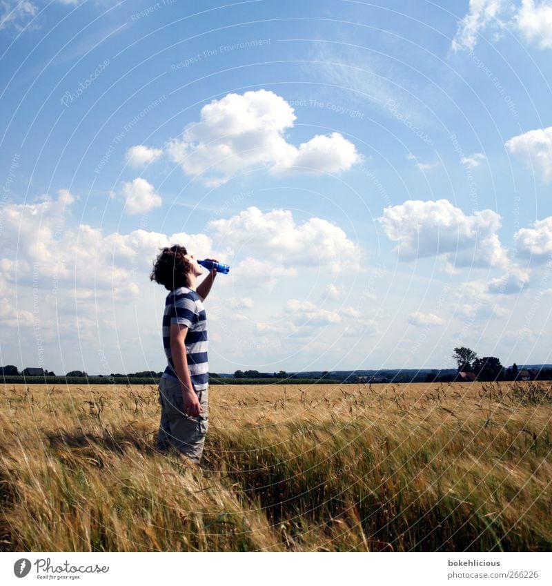 Fresh Field Freude Fitness Zufriedenheit Erholung Freiheit Sommer Sonne Mensch maskulin Junger Mann Jugendliche 1 genießen stehen Gesundheit Fröhlichkeit frisch