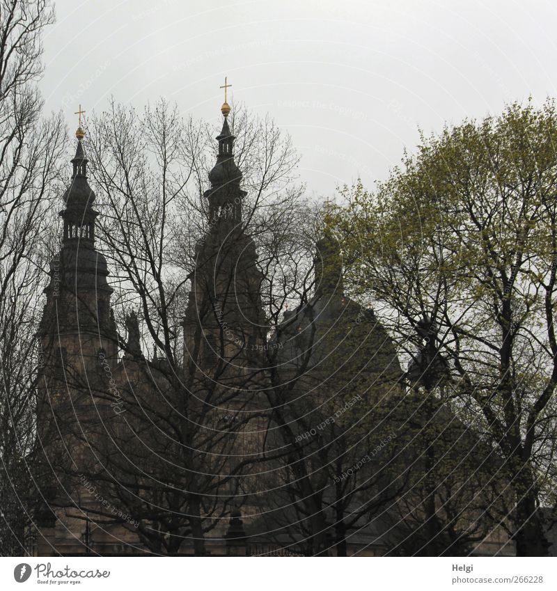 hinter Bäumen versteckt... Architektur Kultur Pflanze Himmel Wolken Baum Park Landkreis Fulda Stadt Kirche Dom Bauwerk Gebäude Kirchturm Kirchturmspitze