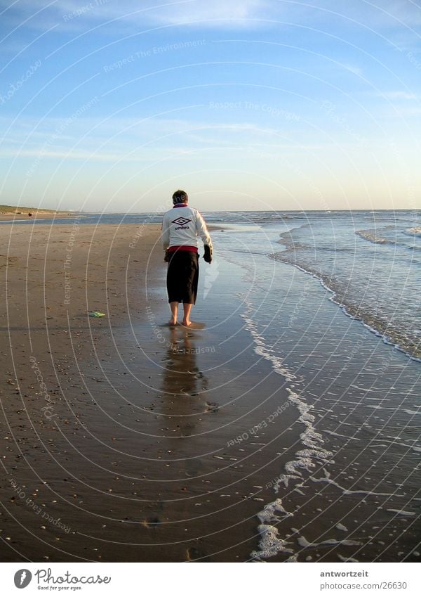 Walkin’ down the beach 2 Niederlande Strand Muschel Brandung Einsamkeit Mann Sand Trainingsjacke