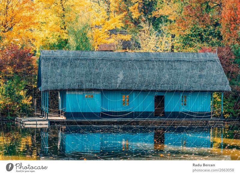 Seehauslandschaft und bunte Herbstbäume im Herbst Ferien & Urlaub & Reisen Haus Garten Umwelt Natur Landschaft Wasser Schönes Wetter Baum Gras Blatt Park Wald