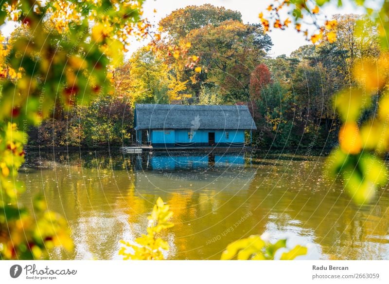 Seehaus umgeben von bunten Fallbäumen im Herbst Ferien & Urlaub & Reisen Häusliches Leben Haus Garten Umwelt Natur Landschaft Wasser Schönes Wetter Pflanze Baum