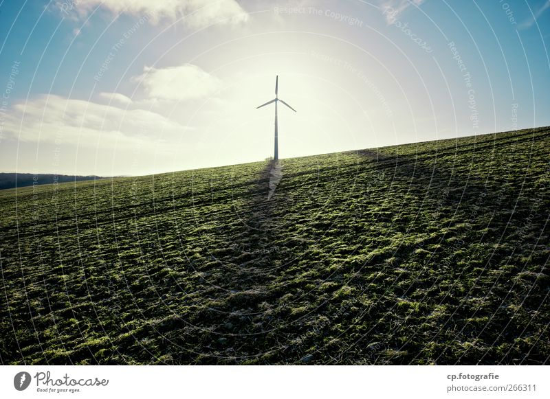 Hoffnung im Querformat Landschaft Pflanze Himmel Sonne Frühling Sommer Herbst Schönes Wetter Nutzpflanze Fortschritt nachhaltig Umweltschutz Windkraftanlage