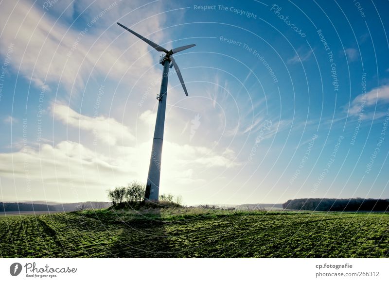 Stromernte Landschaft Pflanze Himmel Sonne Frühling Sommer Herbst Schönes Wetter Nutzpflanze nachhaltig Umweltschutz Windkraftanlage Ackerbau Feld Morgen Tag