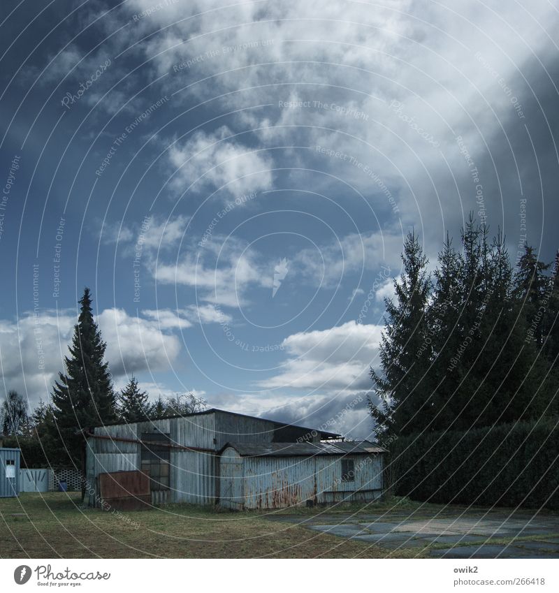 Altbau Himmel Wolken Klima Wetter Schönes Wetter Pflanze Baum Gras Hütte Mauer Wand Wellblechhütte stehen warten klein trashig trist blau schwarz graugrün