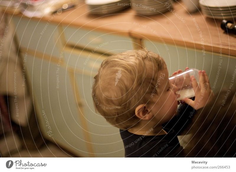 Durstlöschung Bioprodukte Getränk trinken Erfrischungsgetränk Milch Tasse Glas Gesunde Ernährung Küche Kindergarten Mensch maskulin Kleinkind Kindheit Hand 1