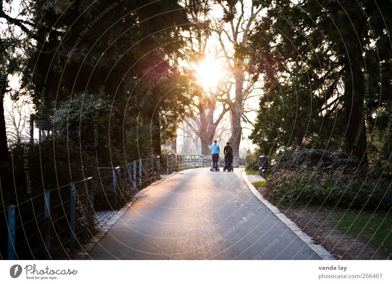 Abendspaziergang Frau Erwachsene Freundschaft Paar Partner Leben 2 Mensch 18-30 Jahre Jugendliche Baum Park Wege & Pfade laufen Idylle Ziel Mutter Kinderwagen