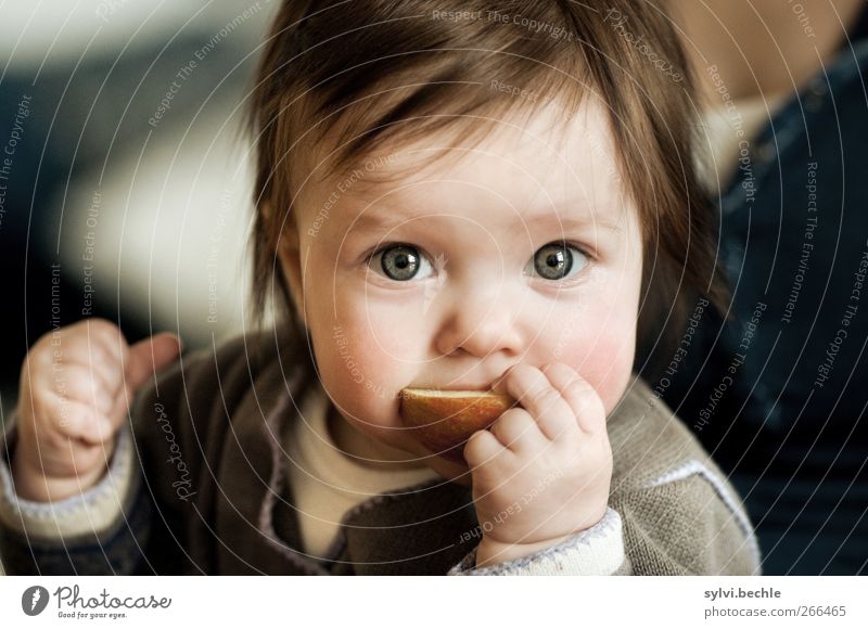 der erste Apfel Lebensmittel Frucht Ernährung Essen Bioprodukte Vegetarische Ernährung Gesundheit Gesunde Ernährung Mensch feminin Kind Baby Kleinkind Mädchen