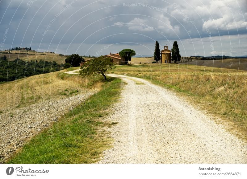 along the road Umwelt Natur Landschaft Pflanze Himmel Gewitterwolken Horizont Sommer Wetter schlechtes Wetter Unwetter Baum Gras Wiese Feld Hügel Siena Toskana