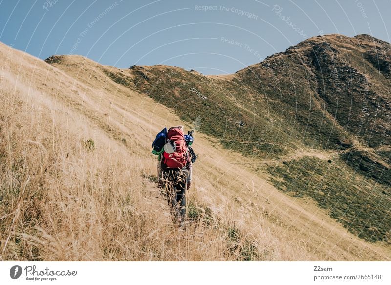 Junge Frau auf dem Fernwanderweg E5 Freizeit & Hobby Ferien & Urlaub & Reisen wandern Jugendliche Natur Landschaft Wolkenloser Himmel Schönes Wetter Alpen