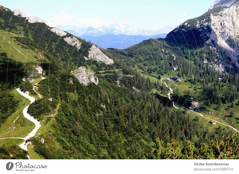 Rundwanderung Ferien & Urlaub & Reisen Tourismus Abenteuer Sommer Berge u. Gebirge Umwelt Natur Landschaft Pflanze Himmel Schönes Wetter Baum Gras Sträucher