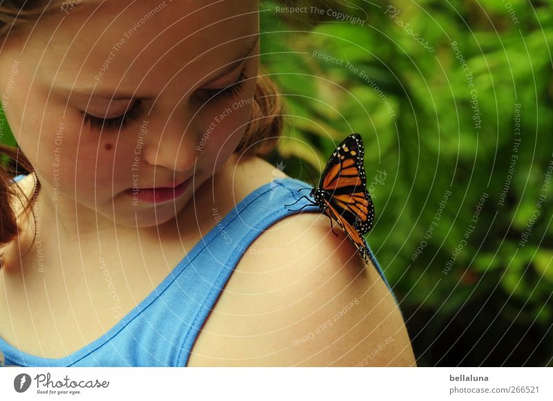 Liebe auf den ersten Blick. Mensch feminin Kind Mädchen Kindheit Leben Kopf Haare & Frisuren Gesicht Auge Nase Mund Lippen 1 3-8 Jahre Natur Pflanze Grünpflanze