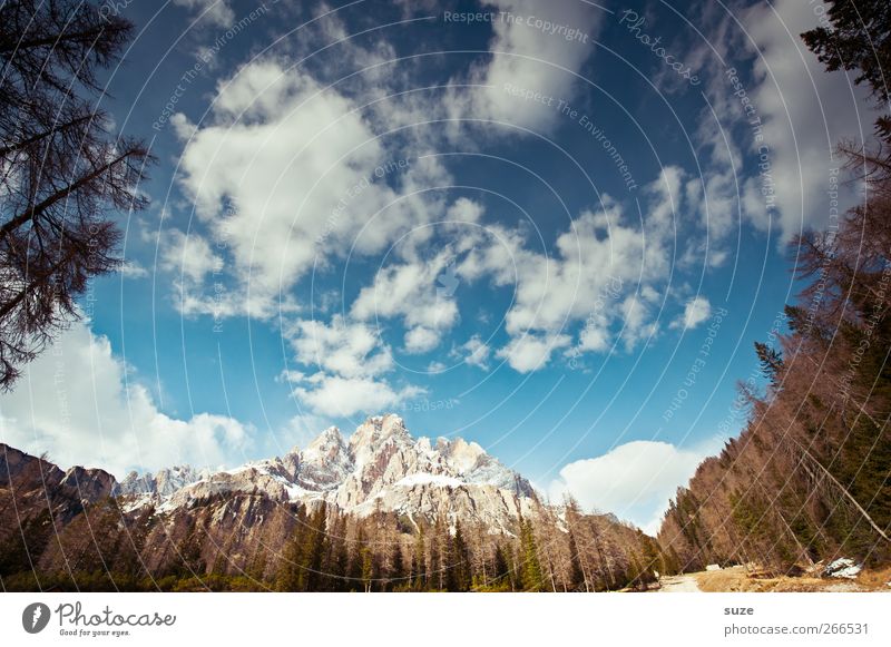 Monte Cristallo Ferien & Urlaub & Reisen Sommer Berge u. Gebirge Umwelt Natur Landschaft Himmel Wolken Klima Schönes Wetter Wald Alpen Gipfel