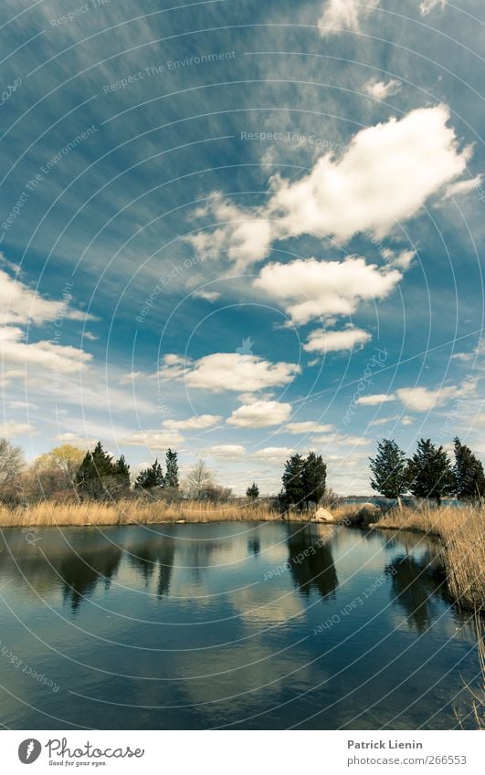 Was bleibt Umwelt Natur Landschaft Urelemente Erde Sonne Frühling Klima Wetter Schönes Wetter Pflanze Baum Wiese Seeufer Stimmung Abenteuer Zufriedenheit