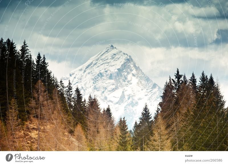 Bergzipfel Umwelt Natur Landschaft Urelemente Himmel Wolken Klima Schönes Wetter Wald Alpen Berge u. Gebirge Gipfel Schneebedeckte Gipfel außergewöhnlich eckig