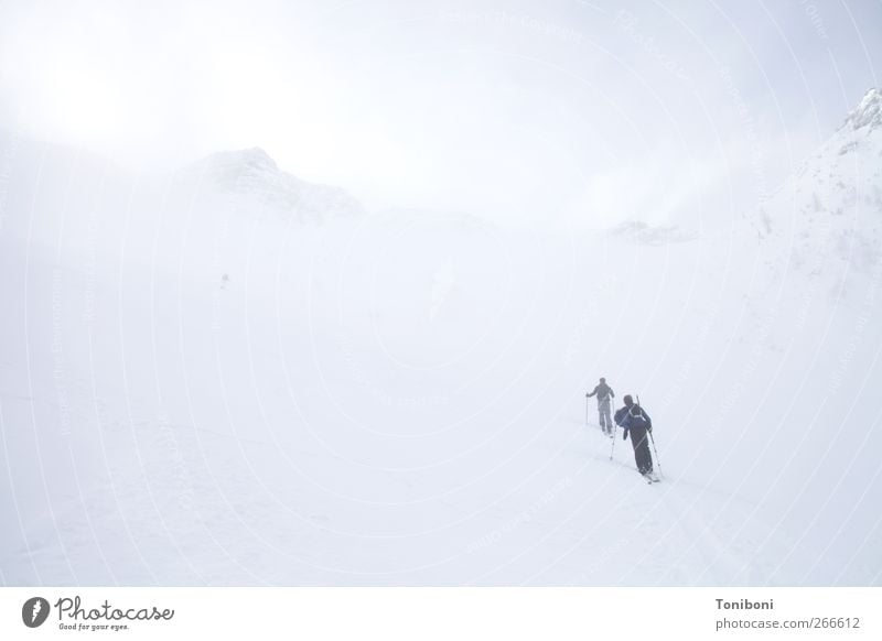 Up, up and away Sport Klettern Bergsteigen Skifahren Natur Wetter Nebel Alpen Berge u. Gebirge Gipfel Bundesland Tirol Unendlichkeit kalt oben weiß Einsamkeit