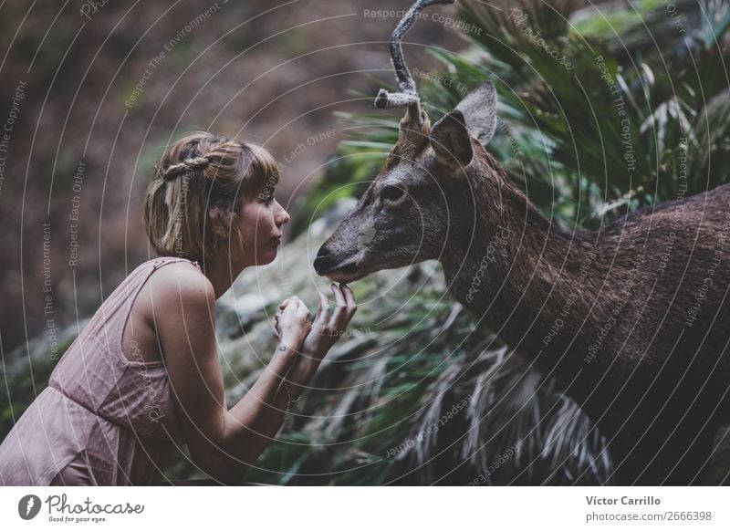 Eine junge schöne junge Frau, die einen Hirsch füttert. Lifestyle elegant Stil Design exotisch Mensch feminin Junge Frau Jugendliche Erwachsene Pflanze Wald